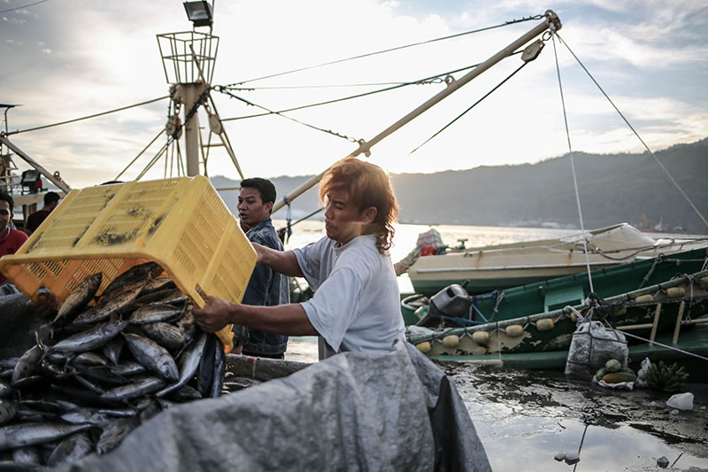 Penangkapan Ikan di Bitung