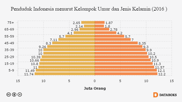 Usia Produktif Dominasi Penduduk Indonesia  2020 Databoks