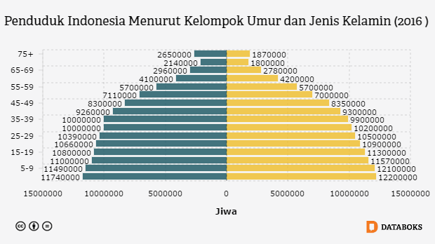 Berapa Jumlah Wanita Usia Produktif di Indonesia? Databoks