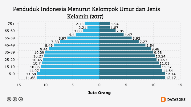  Piramida Penduduk Indonesia  Masuk Tipe Ekspansive Databoks
