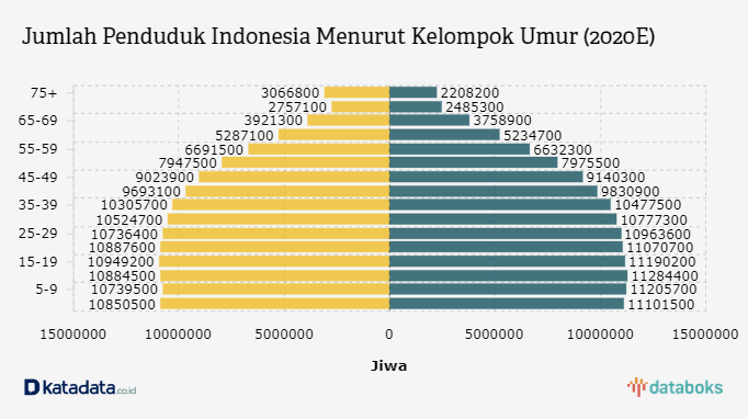 Jumlah Penduduk Indonesia Diproyeksikan Mencapai 270 Juta pada 2020