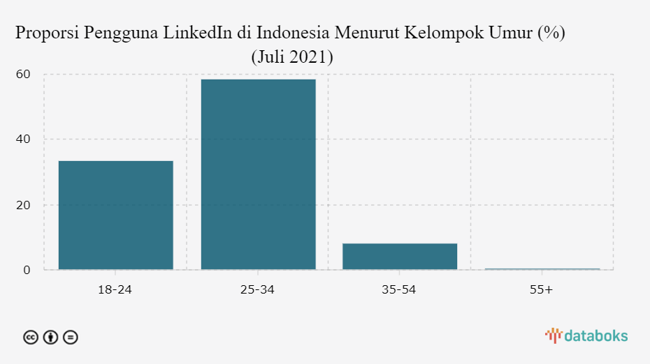 Proporsi Pengguna LinkedIn di Indonesia Menurut Kelompok Umur (%) (Juli 2021)