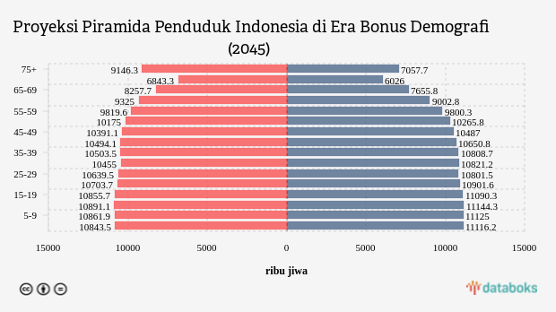 Waspada Bencana Demografi, Ini Proyeksi Penduduk RI 2045