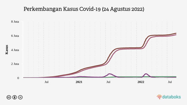 Perkembangan Kasus Covid-19 (24 Agustus 2022)