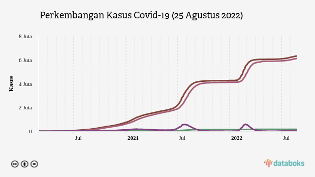 Perkembangan Kasus Covid-19 (25 Agustus 2022)