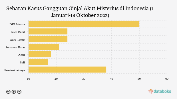 IDAI Temukan 192 Kasus Gangguan Ginjal Akut Misterius, Jakarta Terbanyak