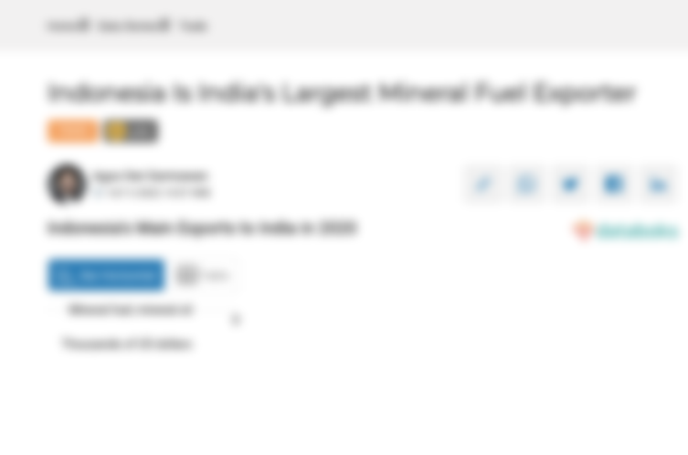 Indonesia's Main Exports to India in 2020