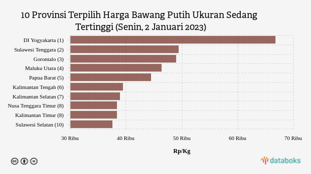 Harga Bawang Putih Ukuran Sedang di DI Yogyakarta Paling Mahal di Indonesia (Senin, 2 Januari 2023)