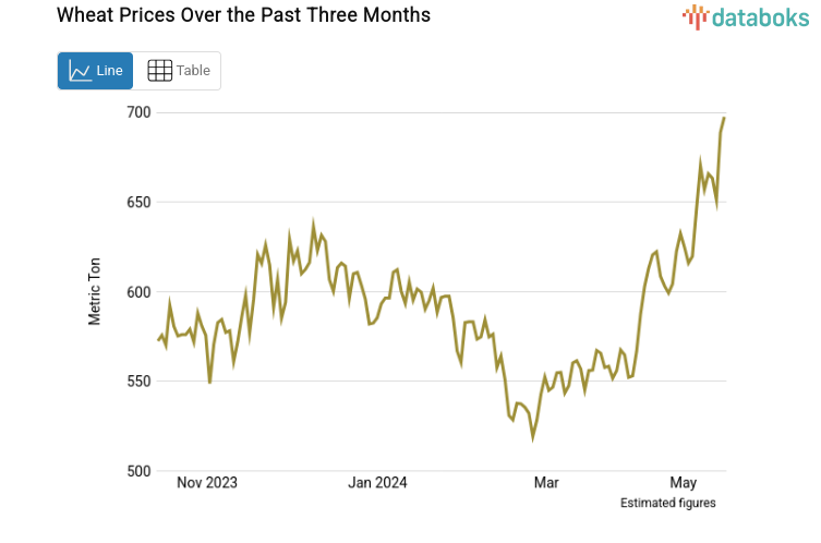 Three-Month Wheat Futures Price Rises to US$692.12 per Bushel (Tuesday