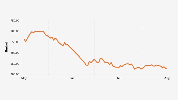 Harga Gandum Kontrak Tiga Bulan Pagi Hari Diperdagangkan US$ 527,6 Bushel (Jumat, 16 Agustus 2024)