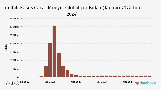 Jumlah Kasus Cacar Monyet Global per Bulan (Januari 2022-Juni 2024)