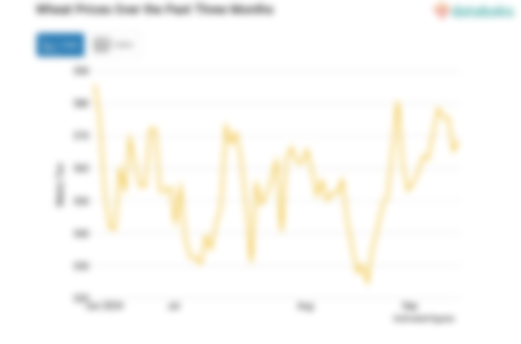 Harga Gandum Kontrak Tiga Bulan Pagi Hari Diperdagangkan US$ 569,5 Bushel (Jumat, 20 September 2024)