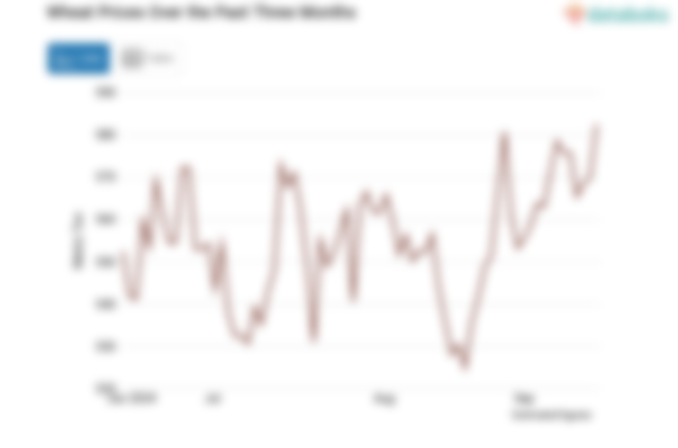 Harga Gandum Kontrak Tiga Bulan Naik Menuju Level US$ 573,8 Bushel (Senin, 23 September 2024)