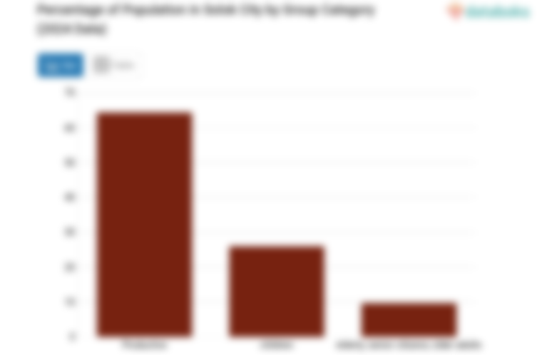 64,33% Penduduk Kota Solok pada 2024 Berusia 15-59 Tahun