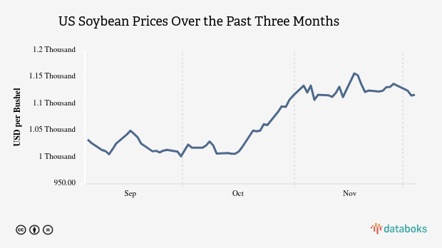 Harga Kedelai Amerika Kontrak Dua Bulan Sore Hari Diperdagangkan USD 1.036,25 per Bushel (Rabu, 25 September 2024)