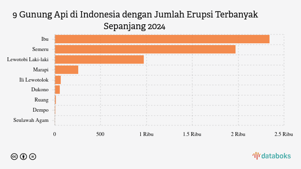 Gunung Ibu Kembali Erupsi Pagi Ini, Tinggi Abu Vulkanik Sekitar 300 Meter