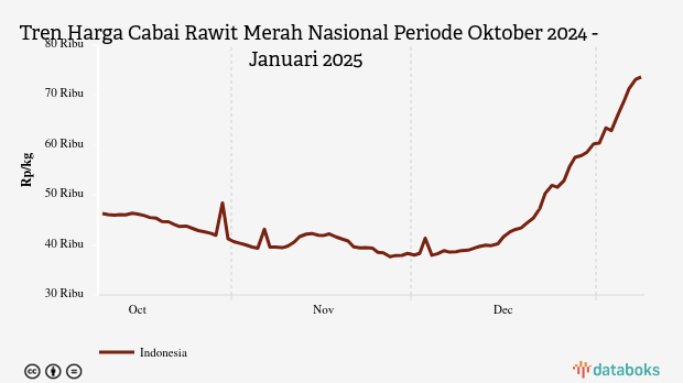 Harga Cabai Rawit Nasional Seminggu Terakhir Naik Rp13.230