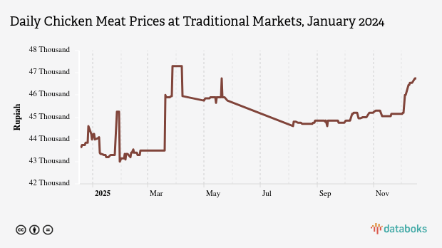 Harga Daging Ayam Harian di Pasar Tradisional Provinsi Papua Sebulan Terakhir Turun 0,58%