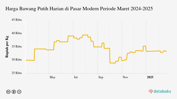 Harga Bawang Putih di Pasar Modern Periode Juni 2024-2025