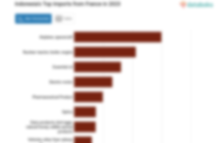 Indonesia Impor Pesawat Terbang Senilai US$ 298,38 Juta dari Perancis pada 2023