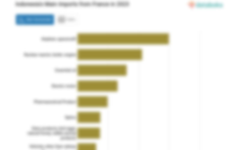 Indonesia Paling Banyak Impor Pesawat Terbang dari Perancis pada 2023