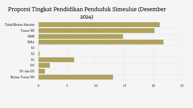 9,37% Penduduk Simeulue Berpendidikan Tinggi pada Desember 2024