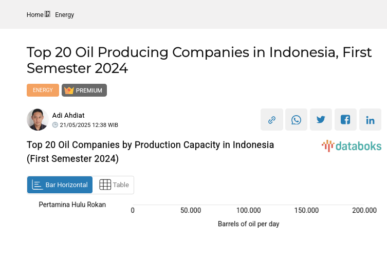 Top 20 Oil Companies by Production Capacity in Indonesia (First Semester 2024)