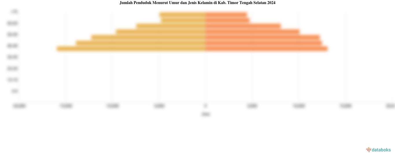Jumlah Penduduk Menurut Umur dan Jenis Kelamin di Kab. Timor Tengah Selatan 2024