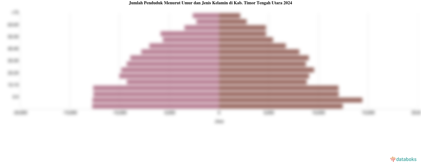 Jumlah Penduduk Menurut Umur di Kab. Timor Tengah Utara | 2024