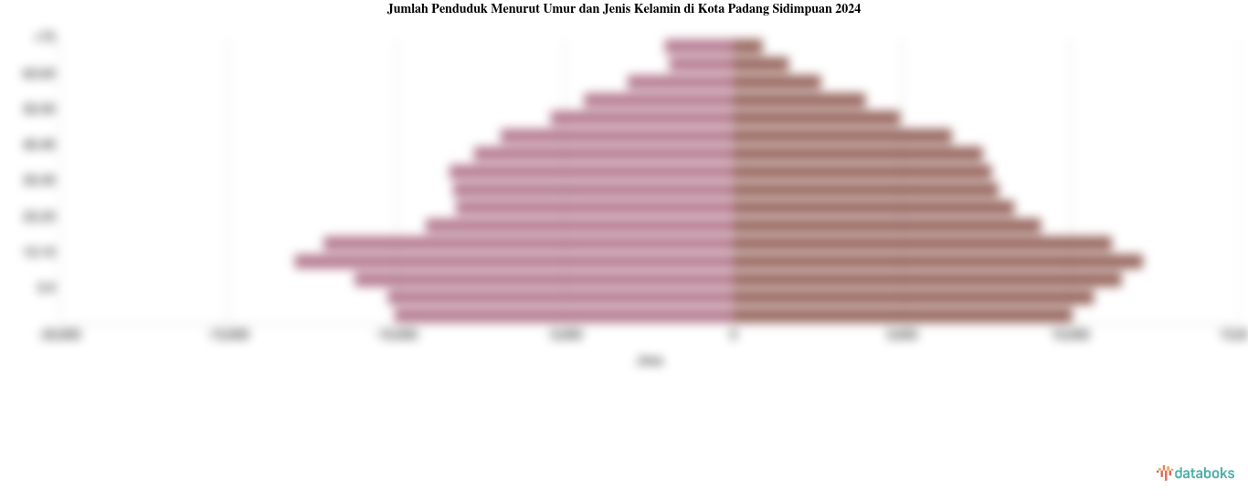 Jumlah Penduduk Menurut Umur dan Jenis Kelamin di Kota Padang Sidimpuan 2024