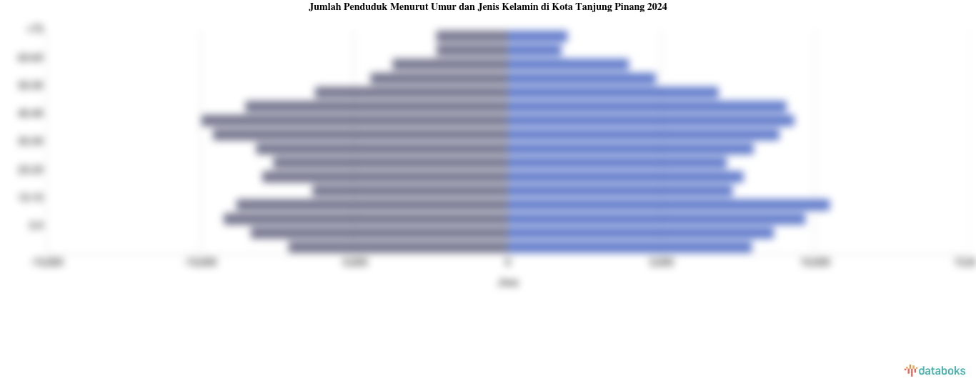 Jumlah Penduduk Menurut Umur di Kota Tanjung Pinang | 2024