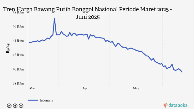 Harga Bawang Putih Nasional Tiga Bulan Terakhir Turun 9,49%