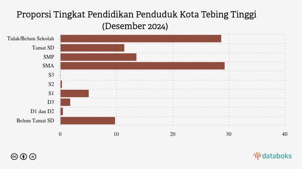 7,45% Penduduk Kota Tebing Tinggi Berpendidikan Tinggi pada Akhir 2024