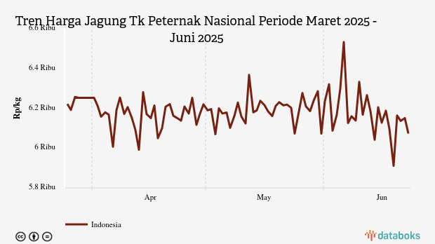 Harga Jagung Nasional Tiga Bulan Terakhir Turun Rp163