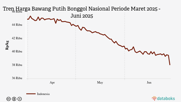 Harga Bawang Putih Nasional Seminggu Terakhir Turun Rp1.620