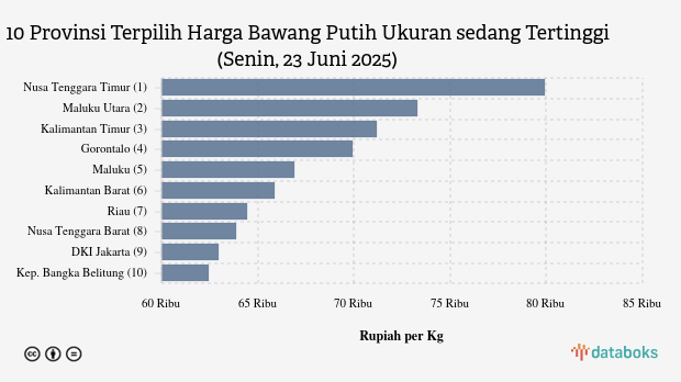 Harga Bawang Putih Ukuran sedang di 10 Provinsi Ini Paling Mahal (Senin, 23 Juni 2025)