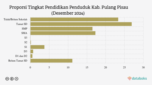 5,05% Penduduk Pulang Pisau Berpendidikan Tinggi pada Desember 2024