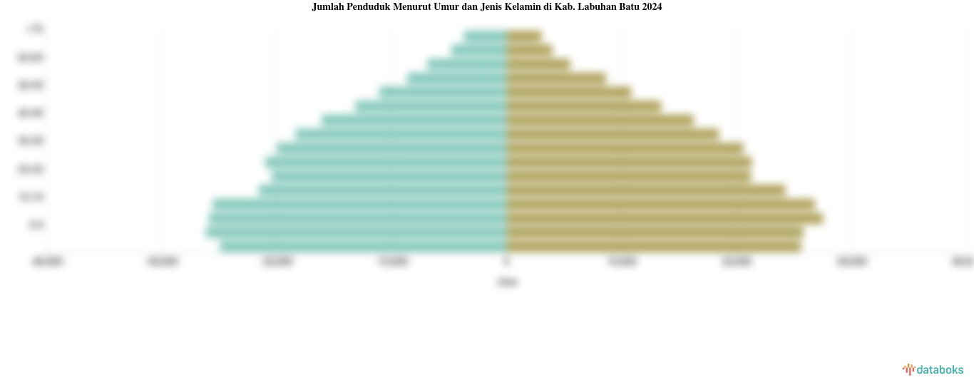 Jumlah Penduduk Menurut Umur dan Jenis Kelamin di Kab. Labuhan Batu 2024