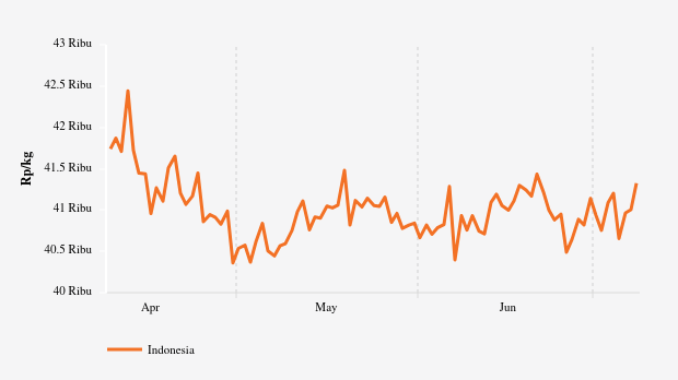 Harga Ikan Kembung Nasional Sebulan Terakhir Naik Rp393