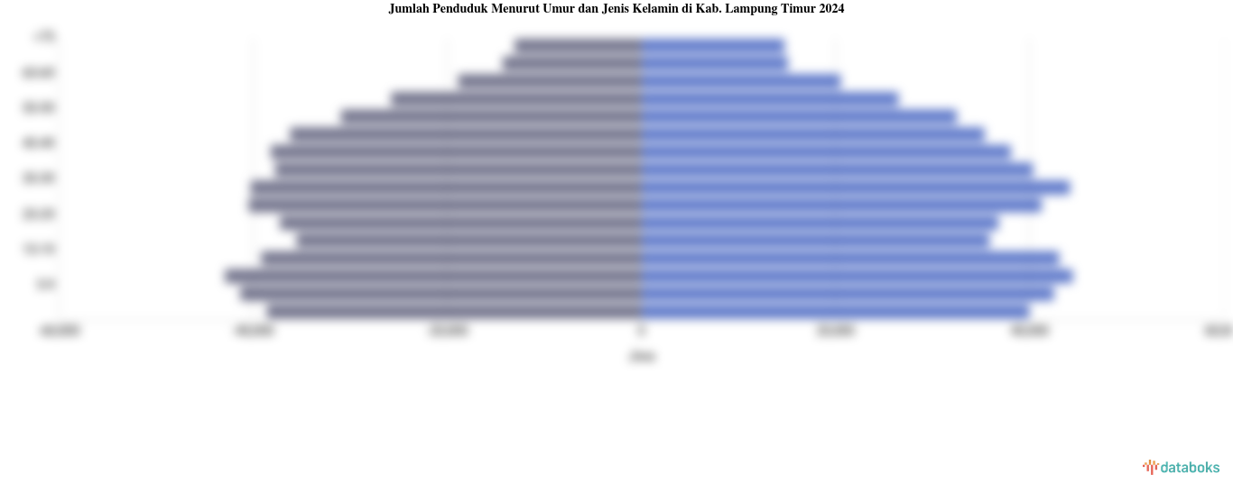 Jumlah Penduduk Menurut Umur dan Jenis Kelamin di Kab. Lampung Timur 2024