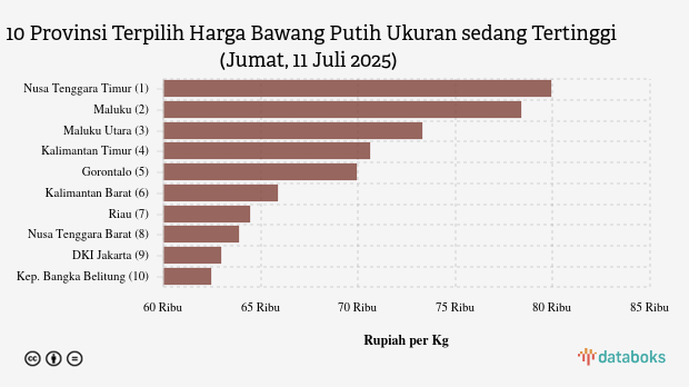 10 Provinsi dengan Harga Bawang Putih Ukuran sedang Paling Mahal (Jumat, 11 Juli 2025)