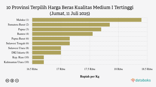 Harga Beras Kualitas Medium I di Maluku Paling Mahal di Indonesia (Jumat, 11 Juli 2025)