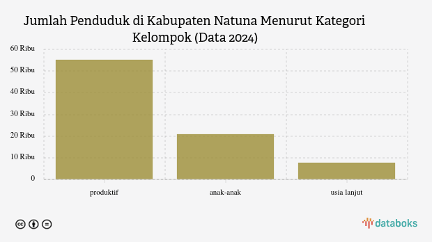 65,85% Penduduk Kabupaten Natuna pada 2024 Berusia 15-59 Tahun