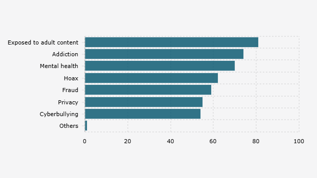 Parents' Concerns Regarding Children's Use of Social Media (January 2025)