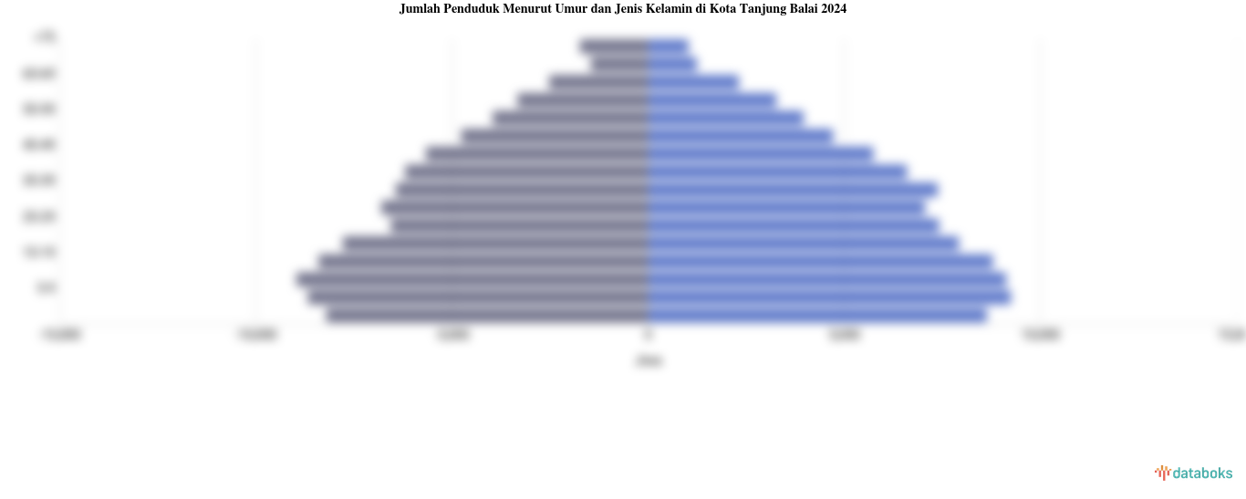 Jumlah Penduduk Menurut Umur di Kota Tanjung Balai | 2024