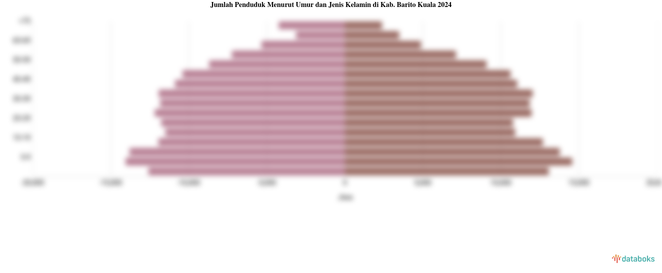 Jumlah Penduduk Menurut Umur dan Jenis Kelamin di Kab. Barito Kuala 2024