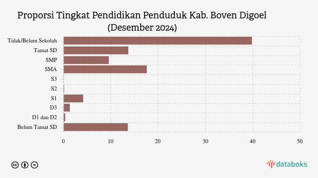13,7% Penduduk Boven Digoel Lulusan SD pada Desember 2024
