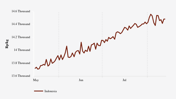 Harga Beras Medium Nasional Sebulan Terakhir Naik Rp208