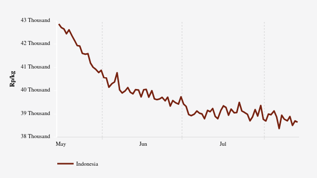 Harga Bawang Putih Nasional Sebulan Terakhir Turun Rp151