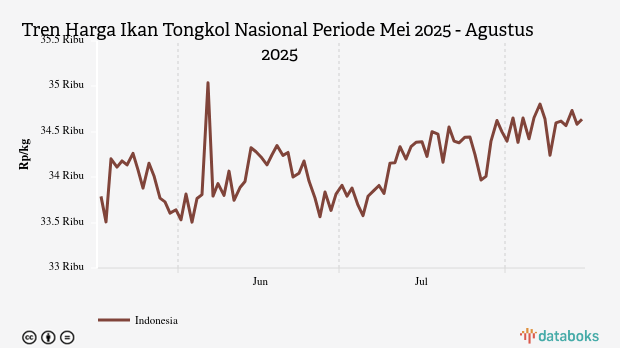 Harga Ikan Tongkol Nasional Tiga Bulan Terakhir Naik Rp850